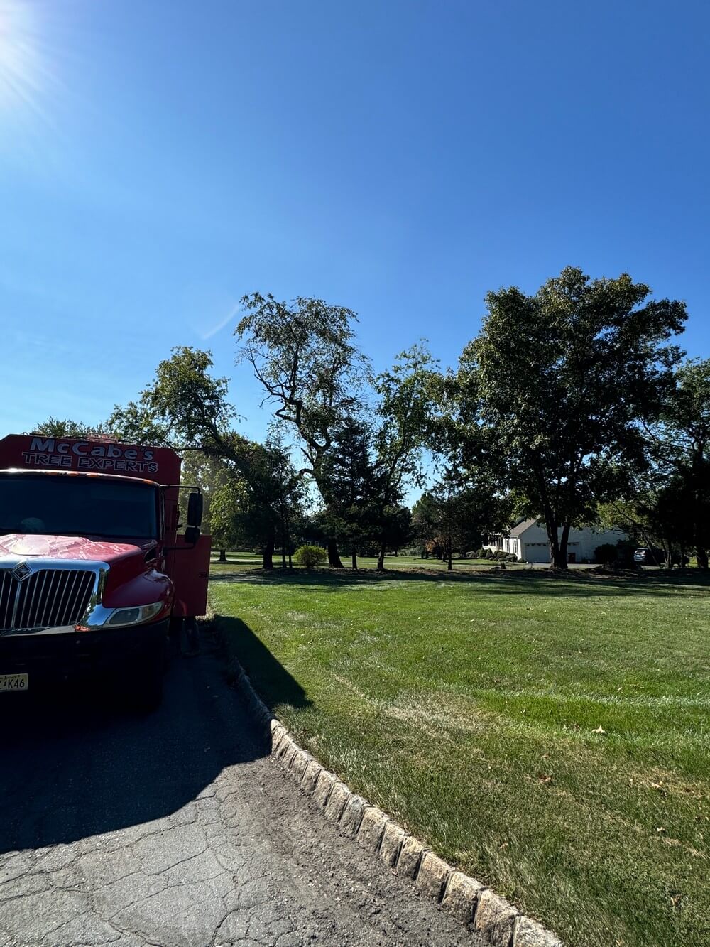 Underbrush removal flemington nj